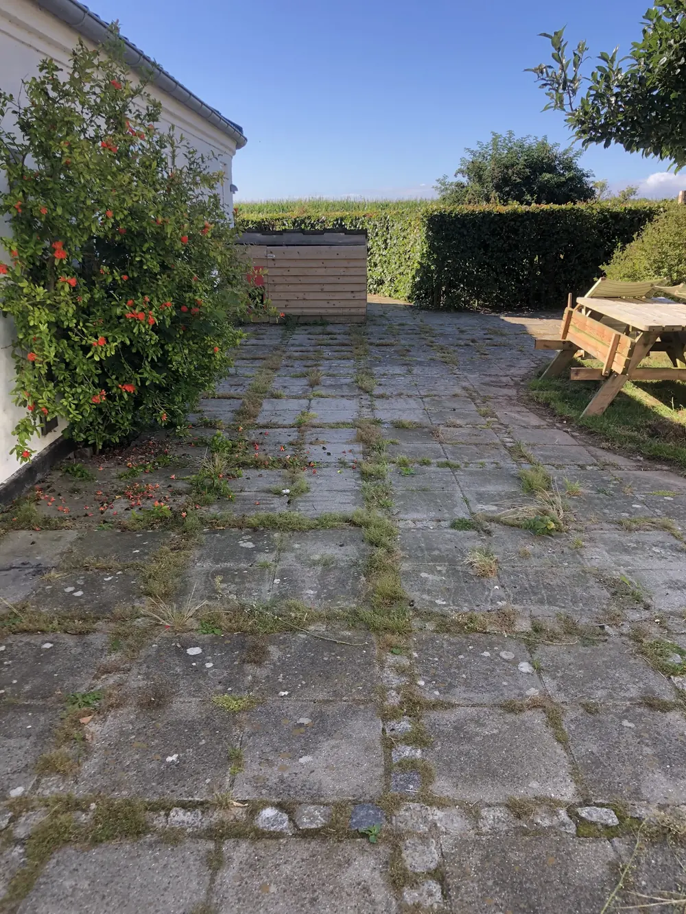 Terrasse med ukrudt før fliserens